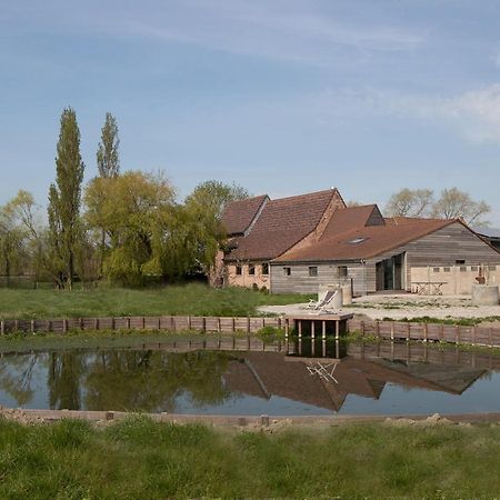 Landelijk Vakantiehuis In Diksmuide Met Een Tuin En Vijver Eksteriør billede