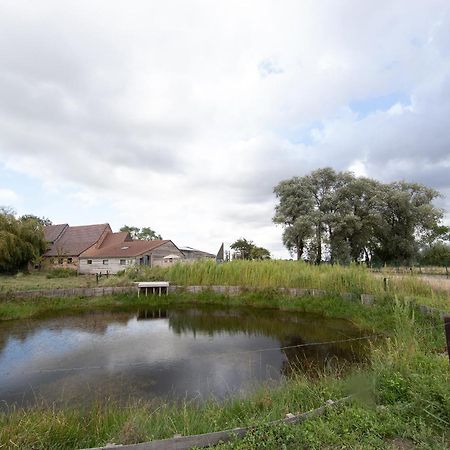 Landelijk Vakantiehuis In Diksmuide Met Een Tuin En Vijver Eksteriør billede