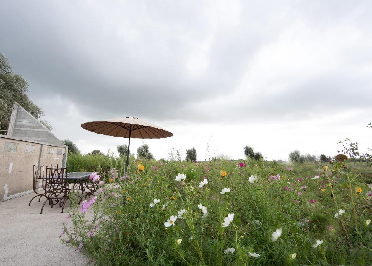 Landelijk Vakantiehuis In Diksmuide Met Een Tuin En Vijver Eksteriør billede